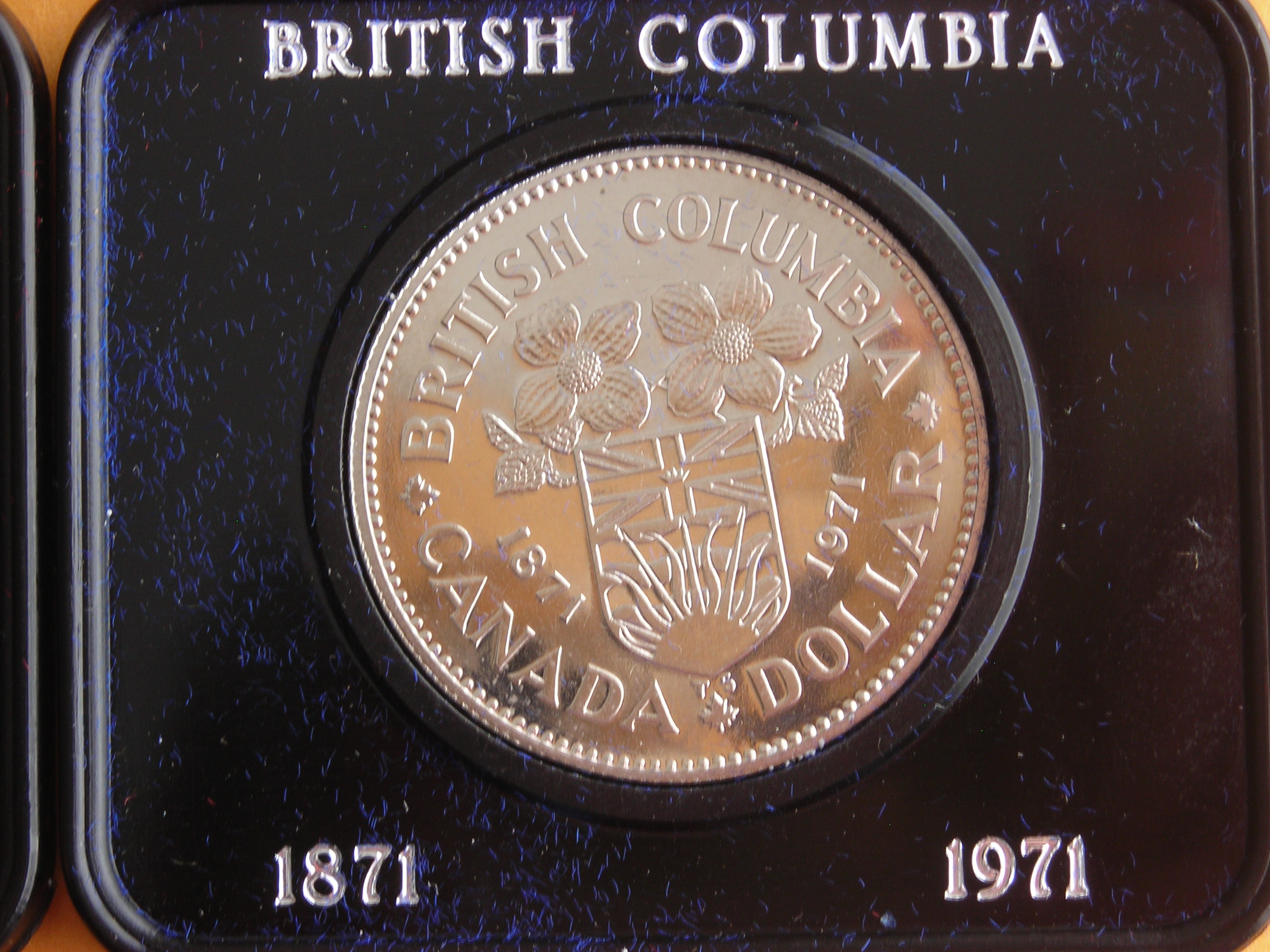 DSCN4461.JPG