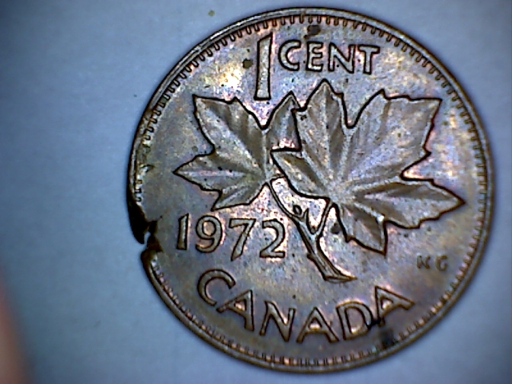 1972 2.jpg