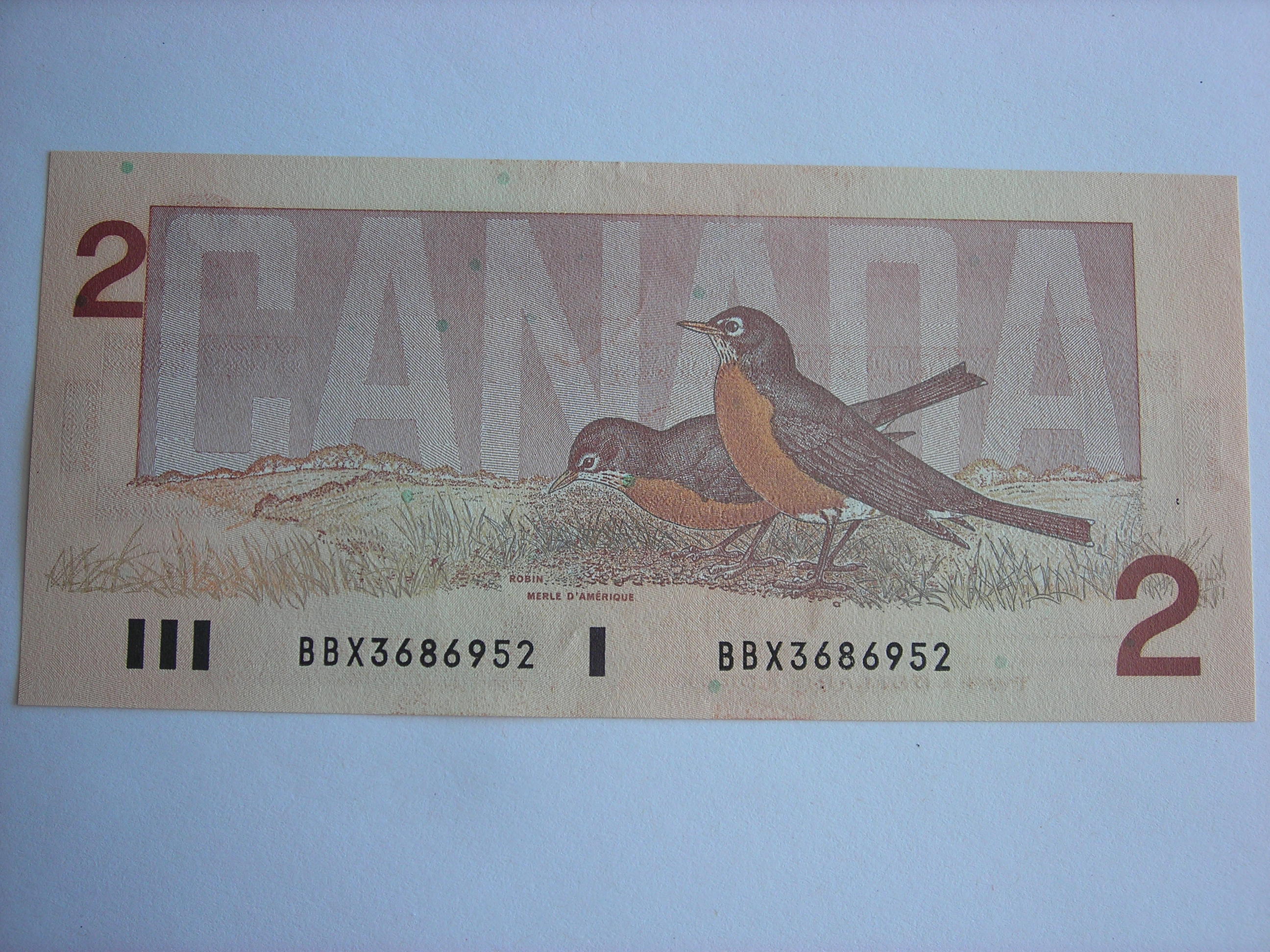 DSCN4577.JPG
