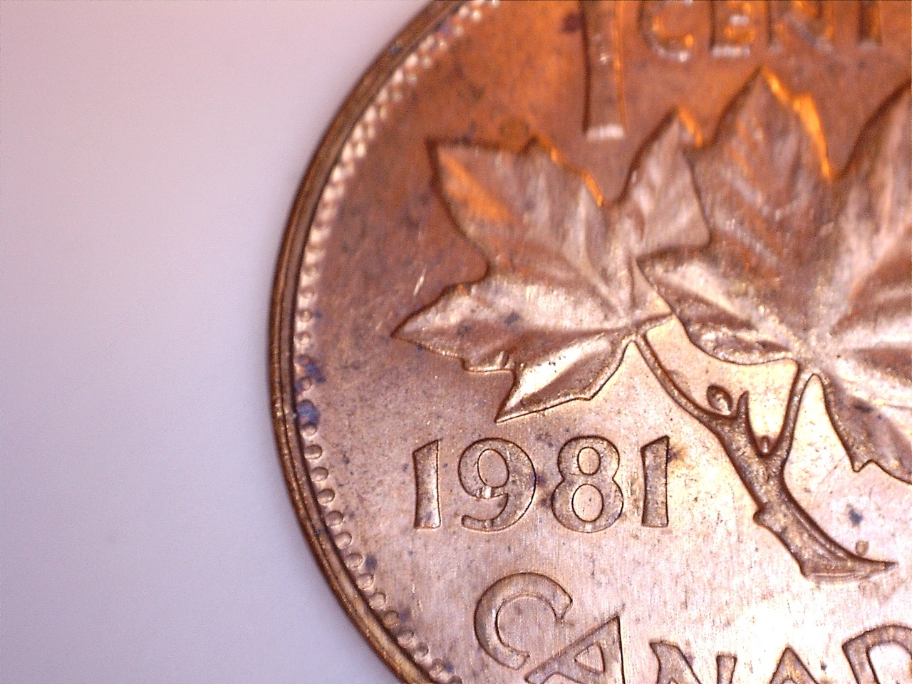 1981 ce a1.jpg