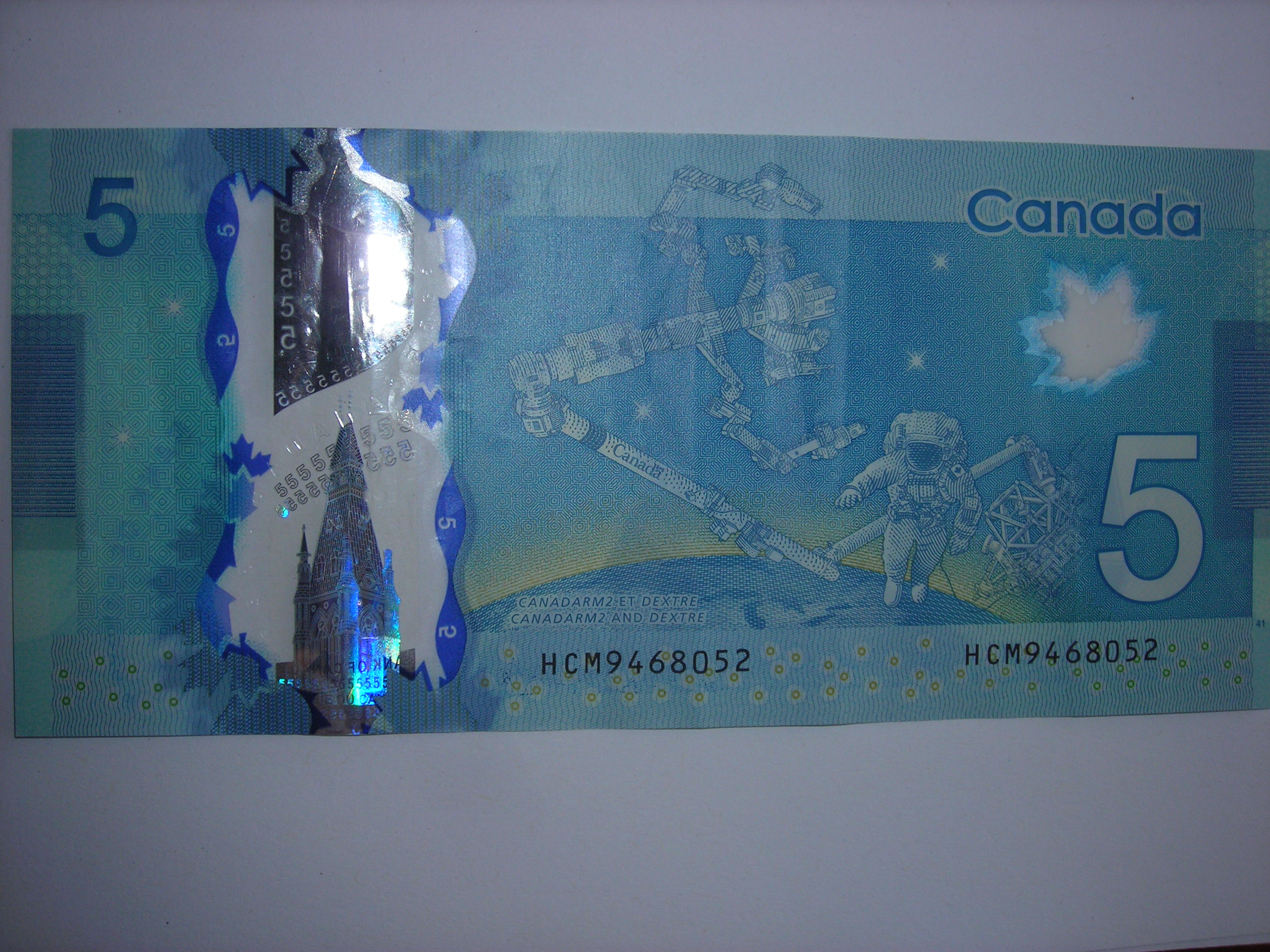 DSCN4620.JPG