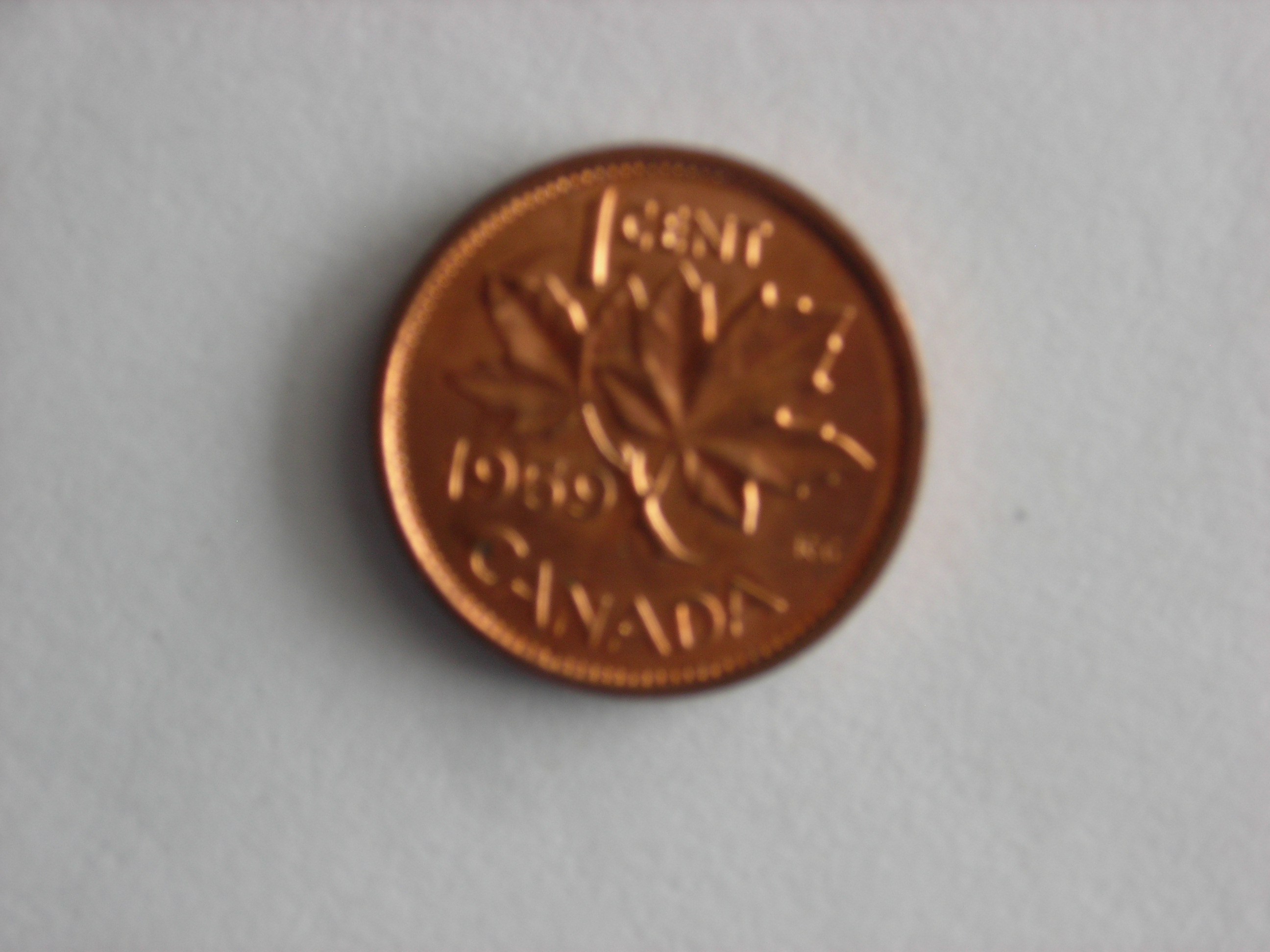 DSCN4654.JPG