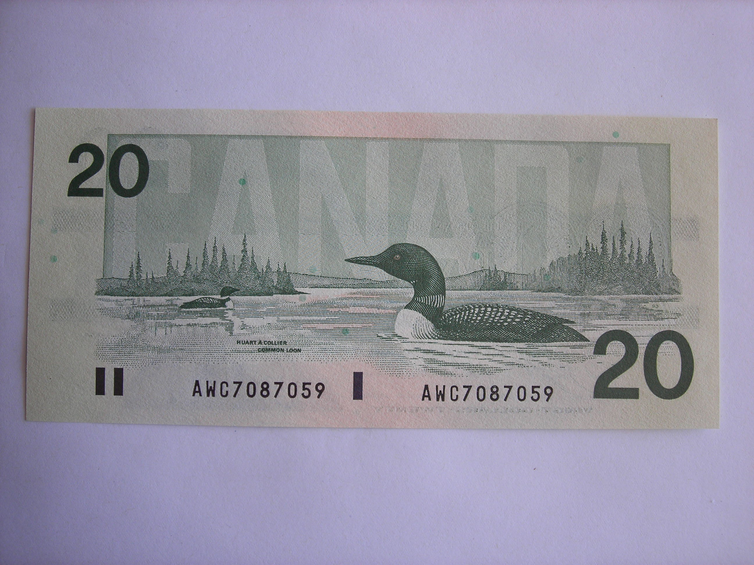 DSCN4750.JPG