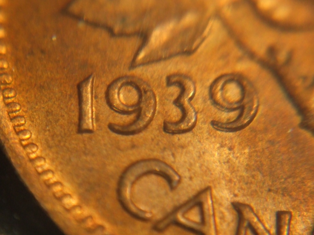 DSCF8193.JPG