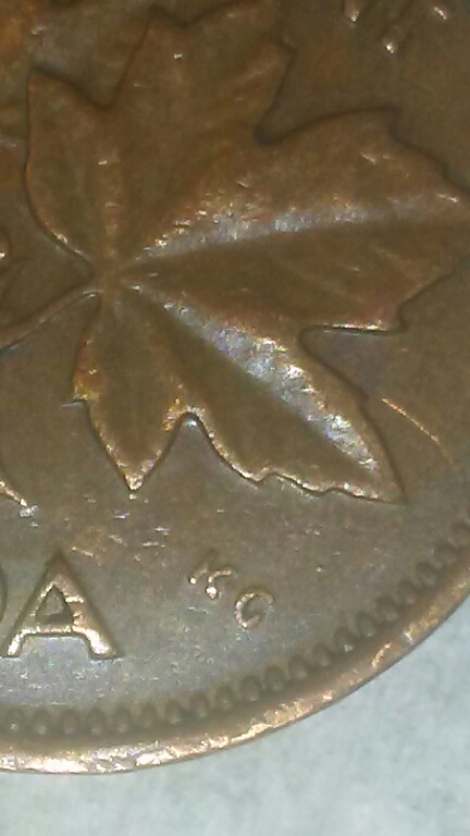 20180707_140551.jpg