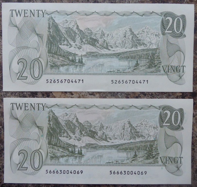 P1000360.JPG