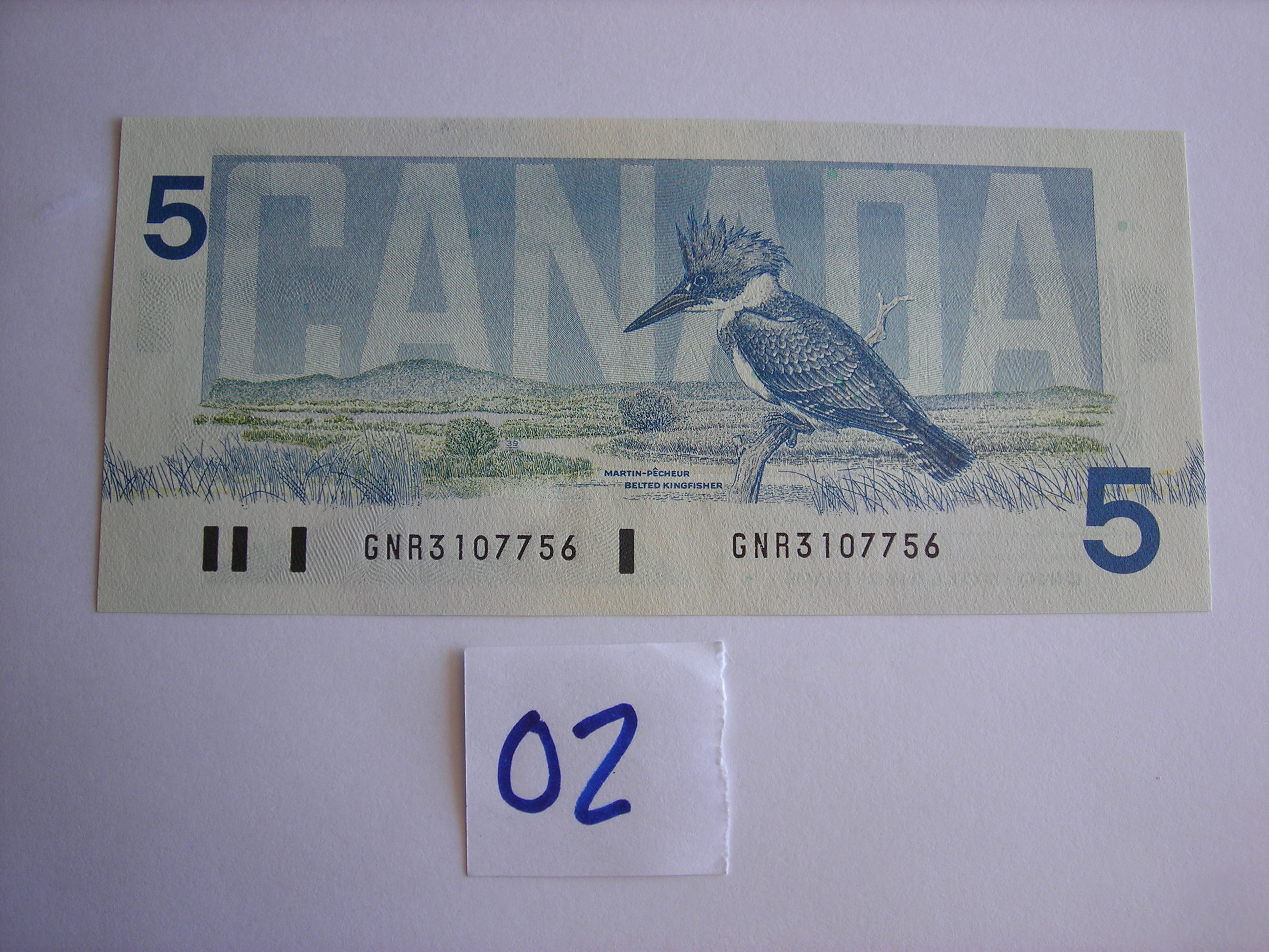 DSCN4876.JPG