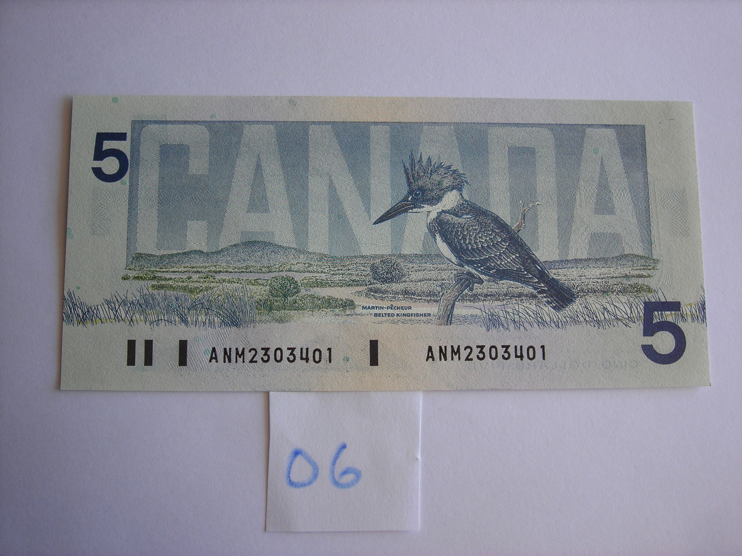 DSCN4868.JPG