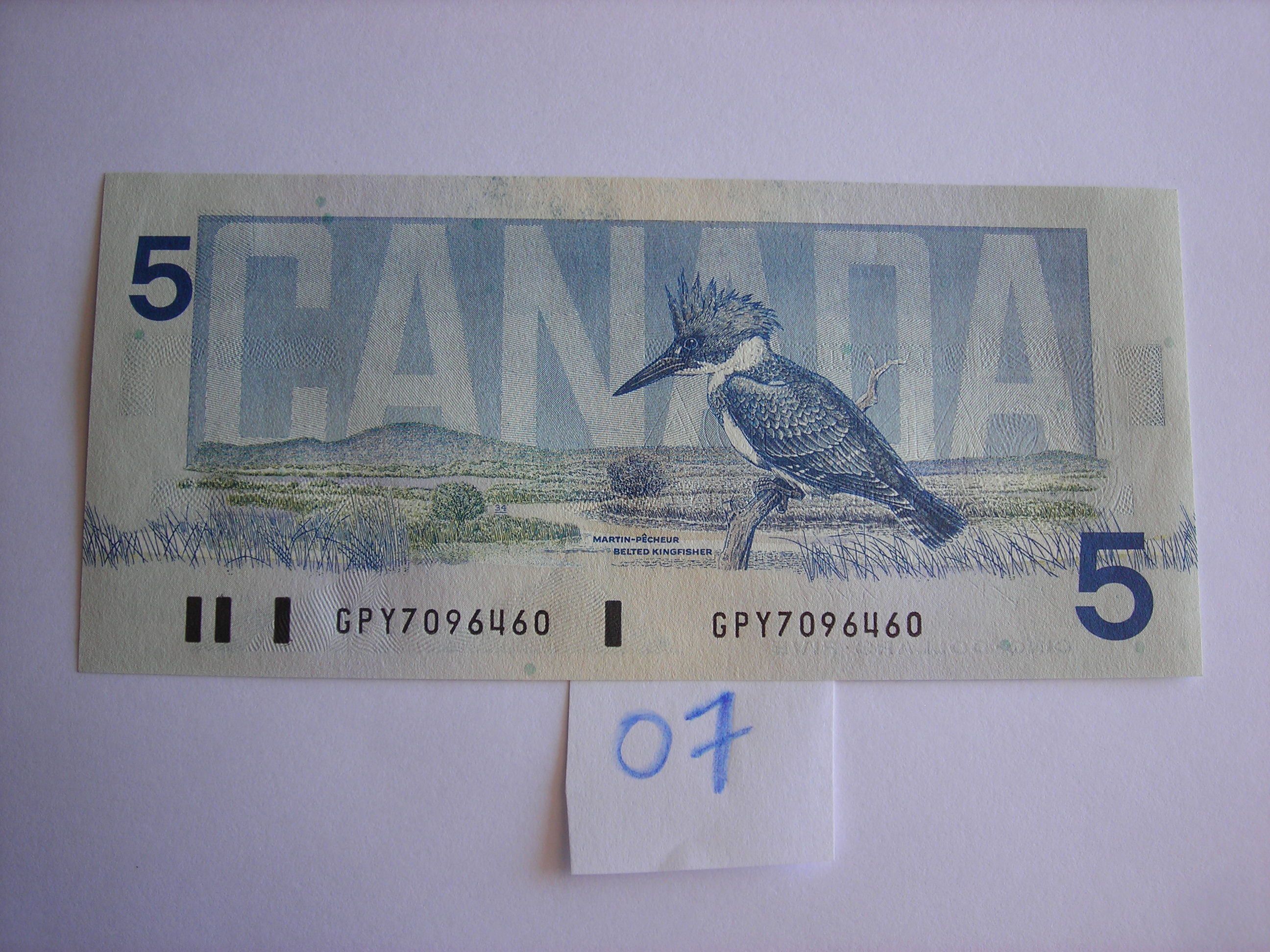 DSCN4867.JPG