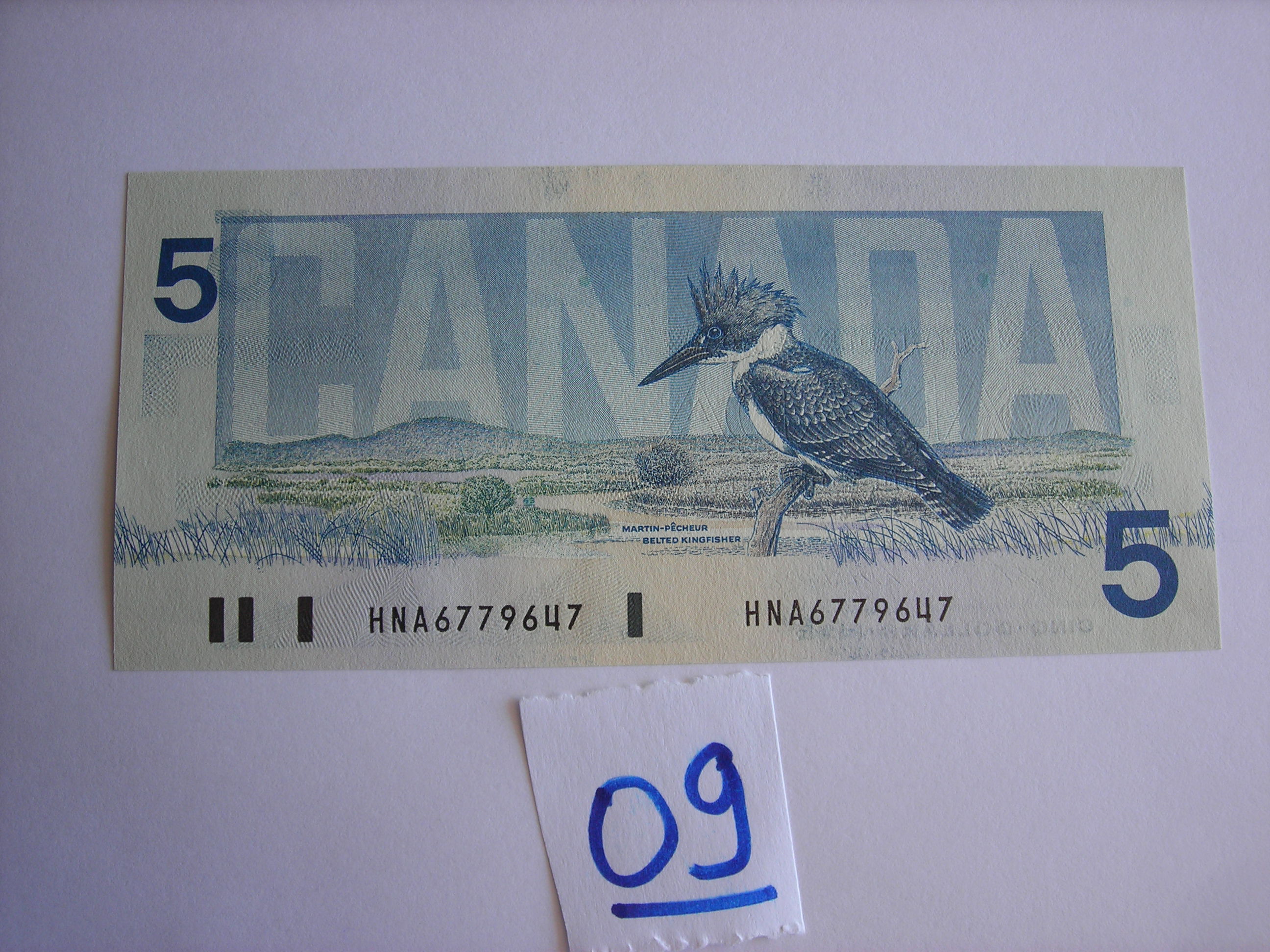 DSCN4862.JPG