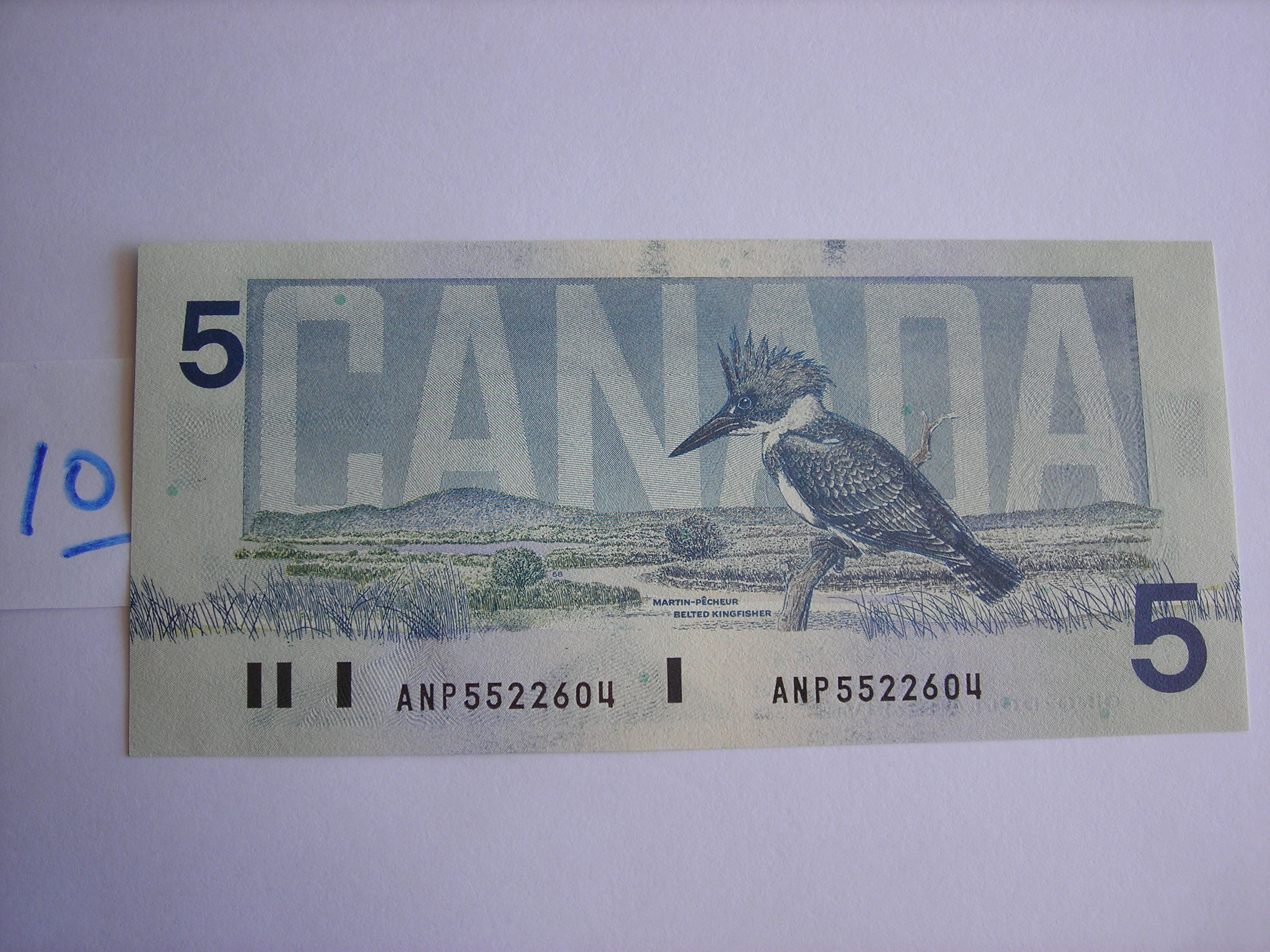 DSCN4859.JPG