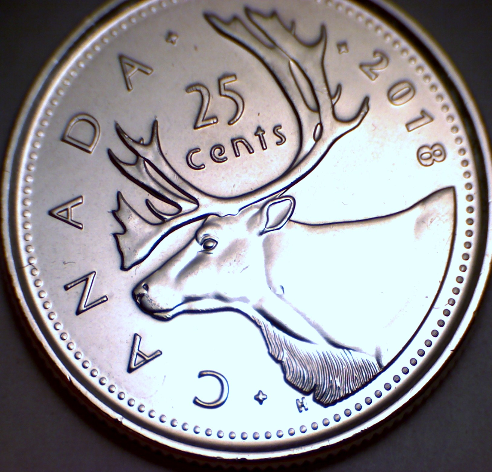 61918.jpg