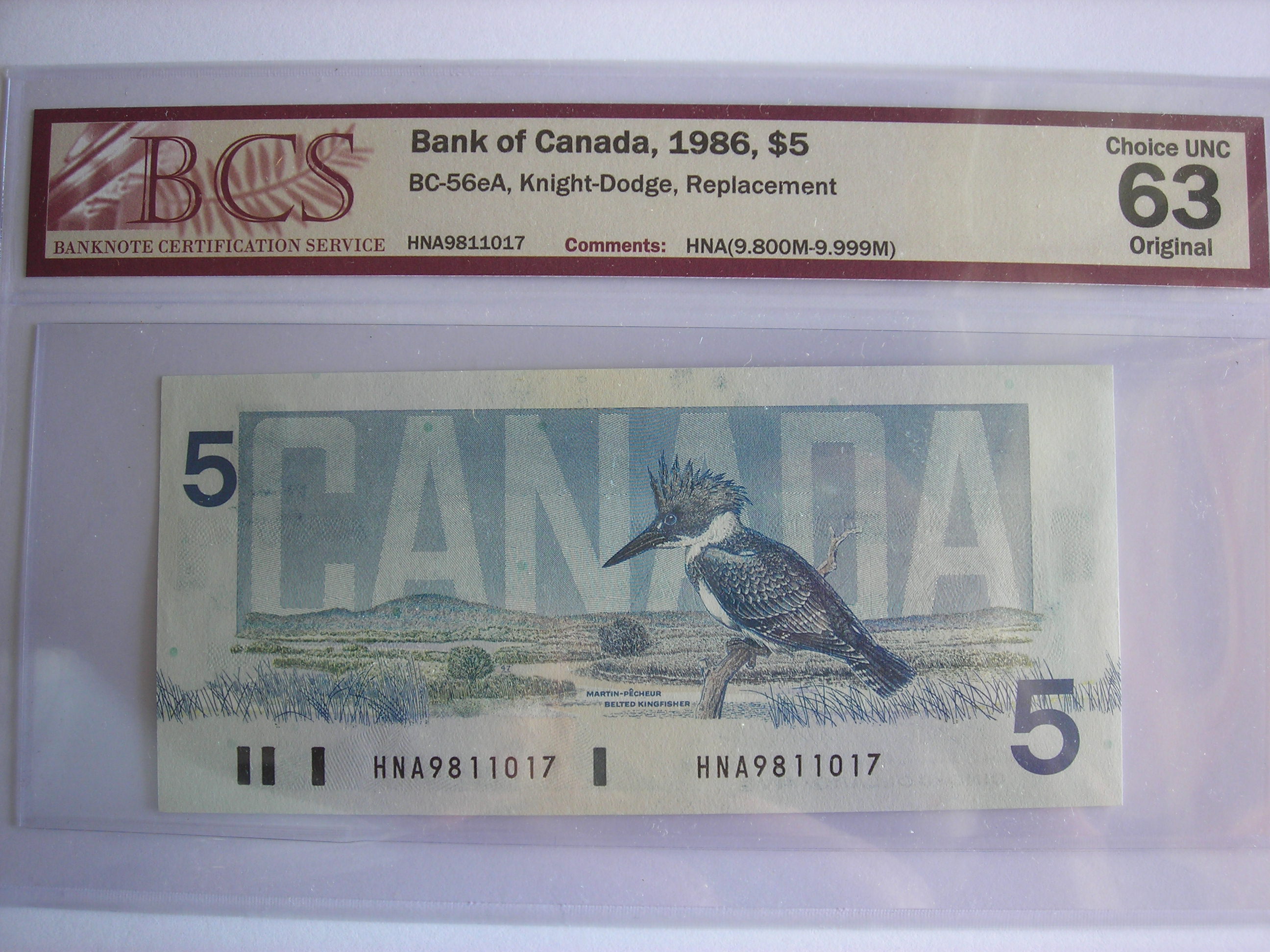 DSCN4930.JPG