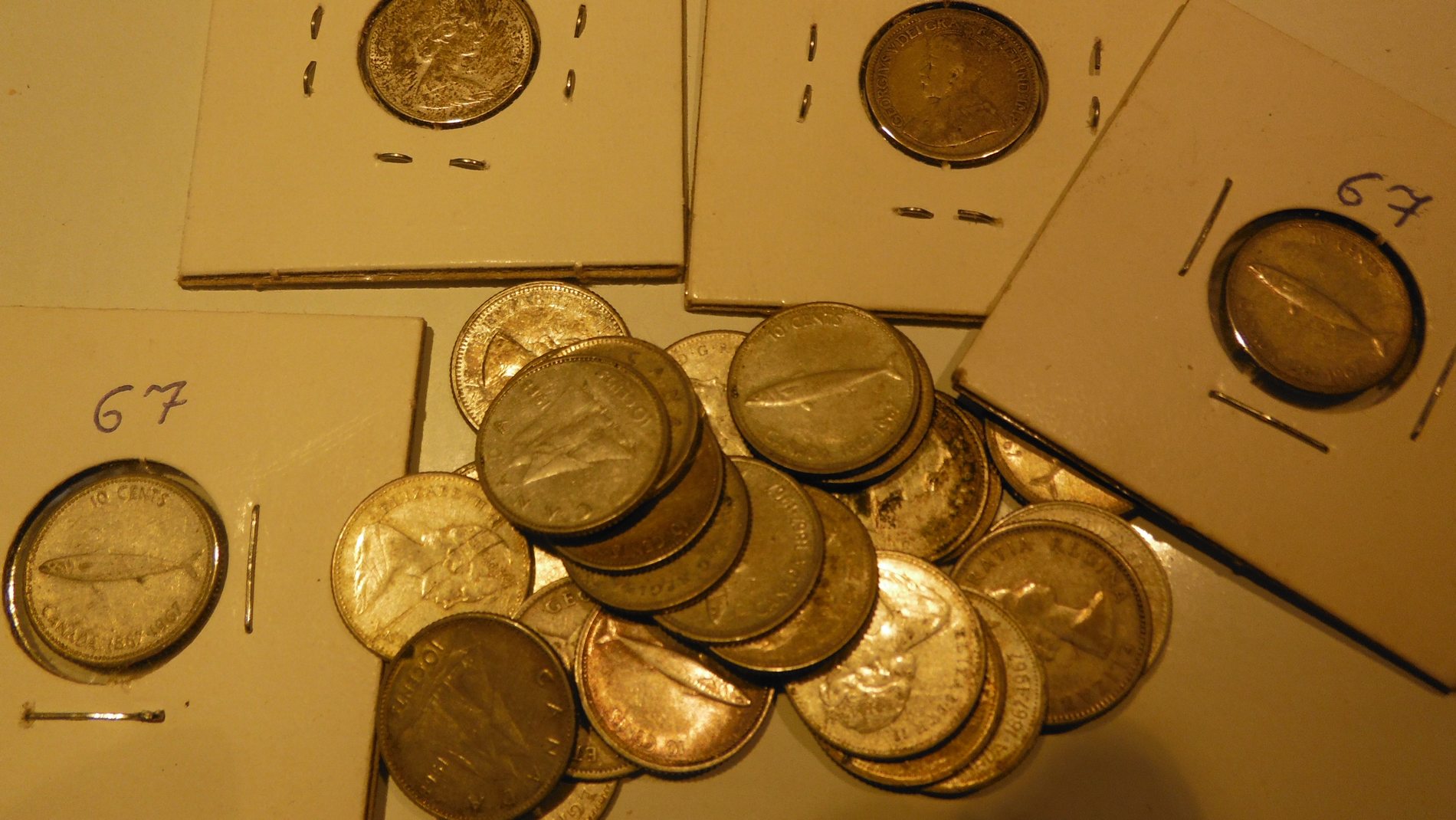 1.JPG