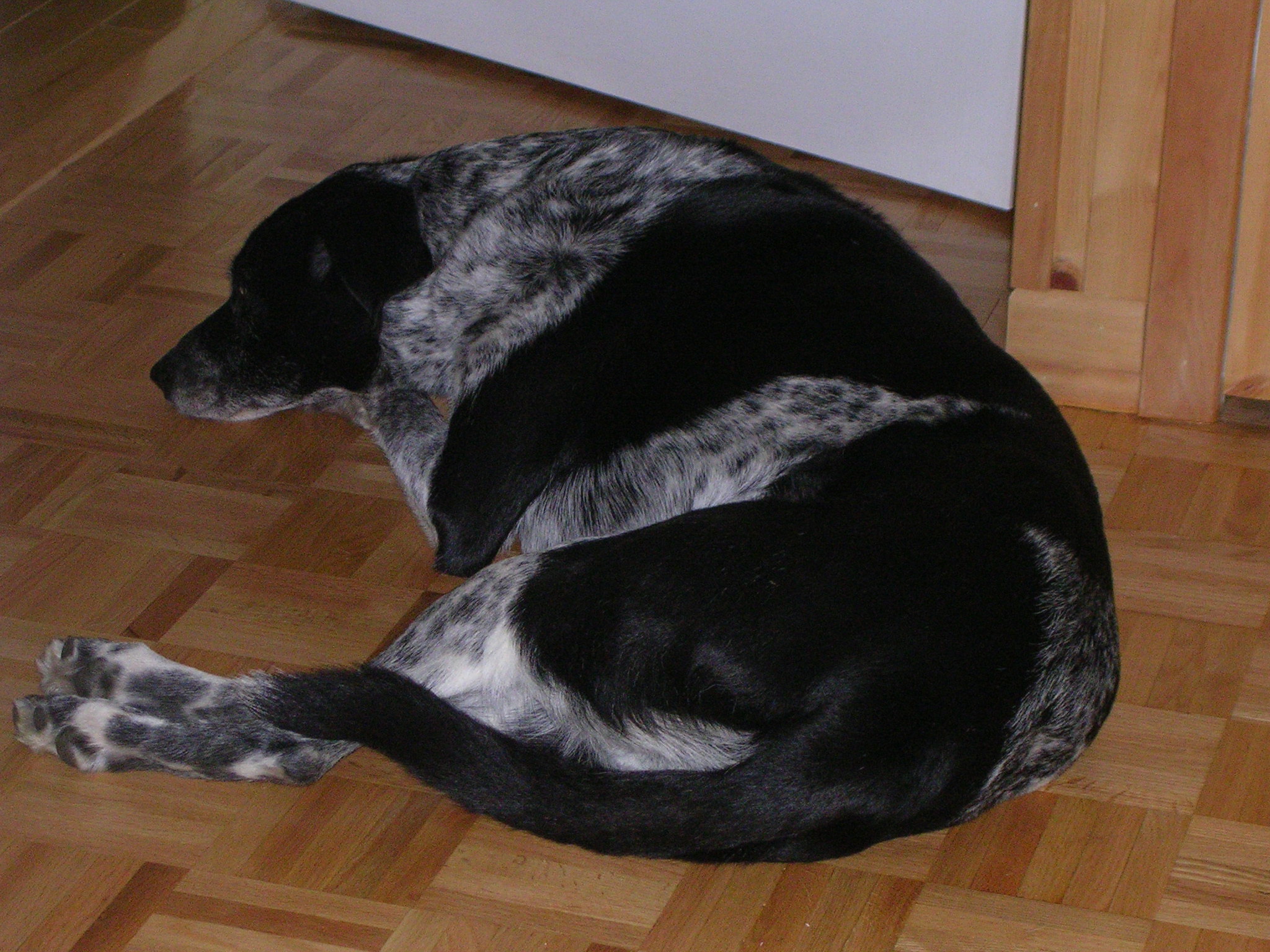 DSCN1247.JPG