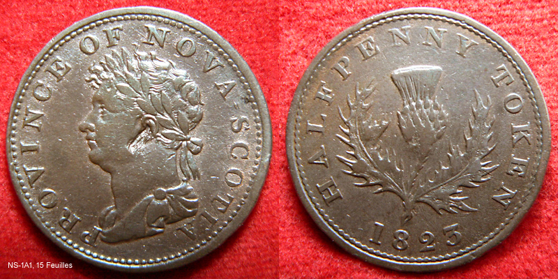 NS-1A1 av. rev. final.jpg