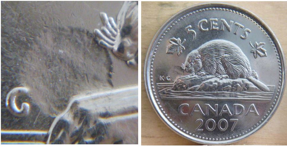 5 Cents 2007-Frappe a travers la graisse devant castor.1.JPG
