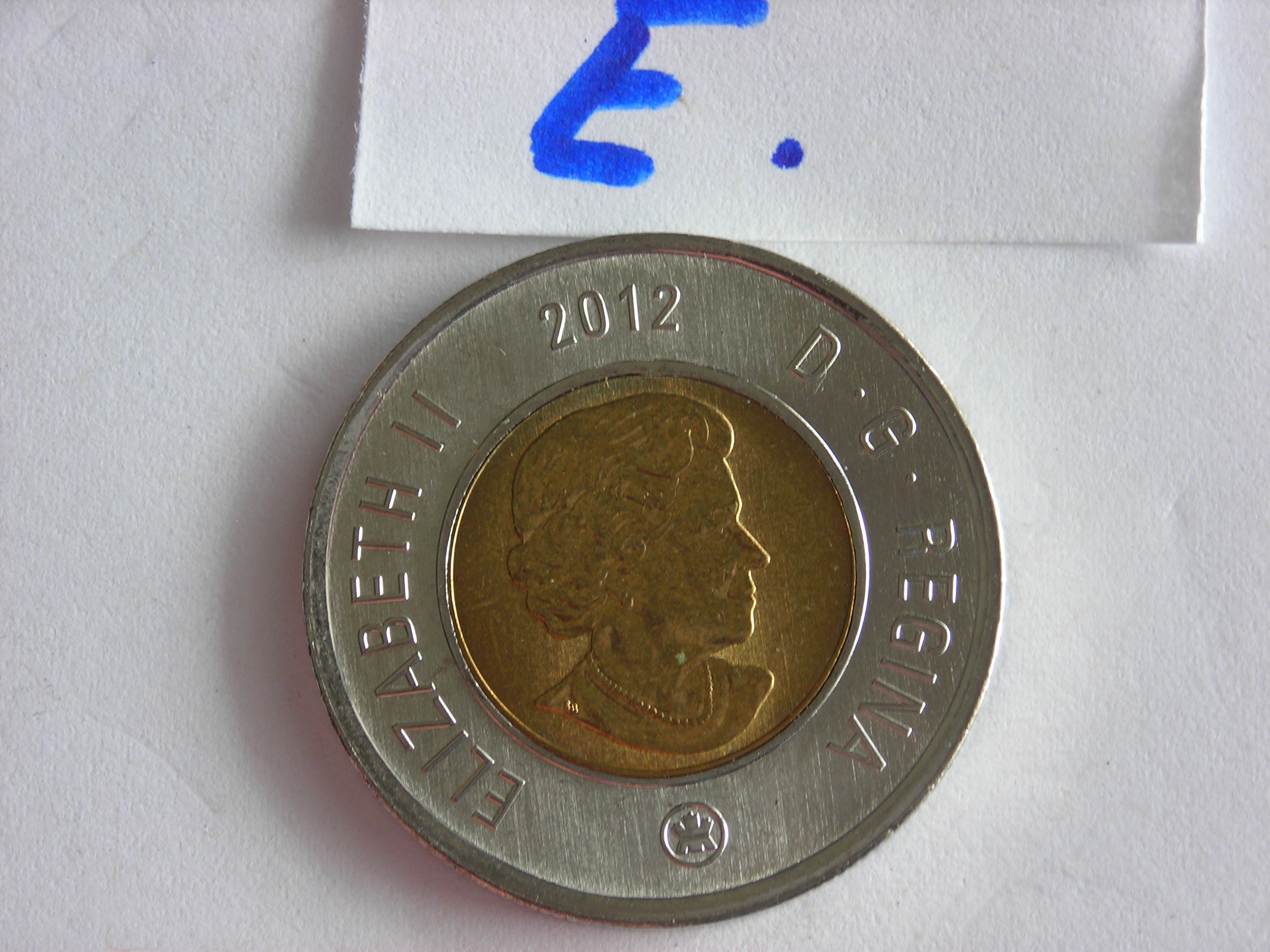 DSCN5049.JPG