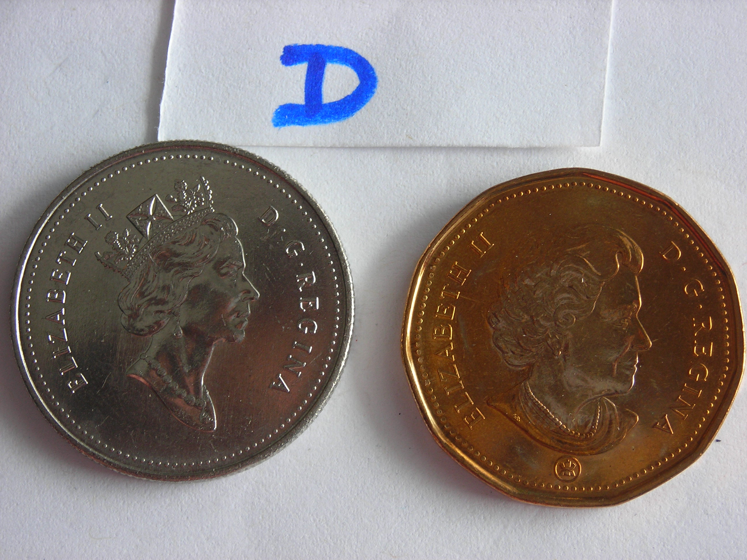 DSCN5047.JPG