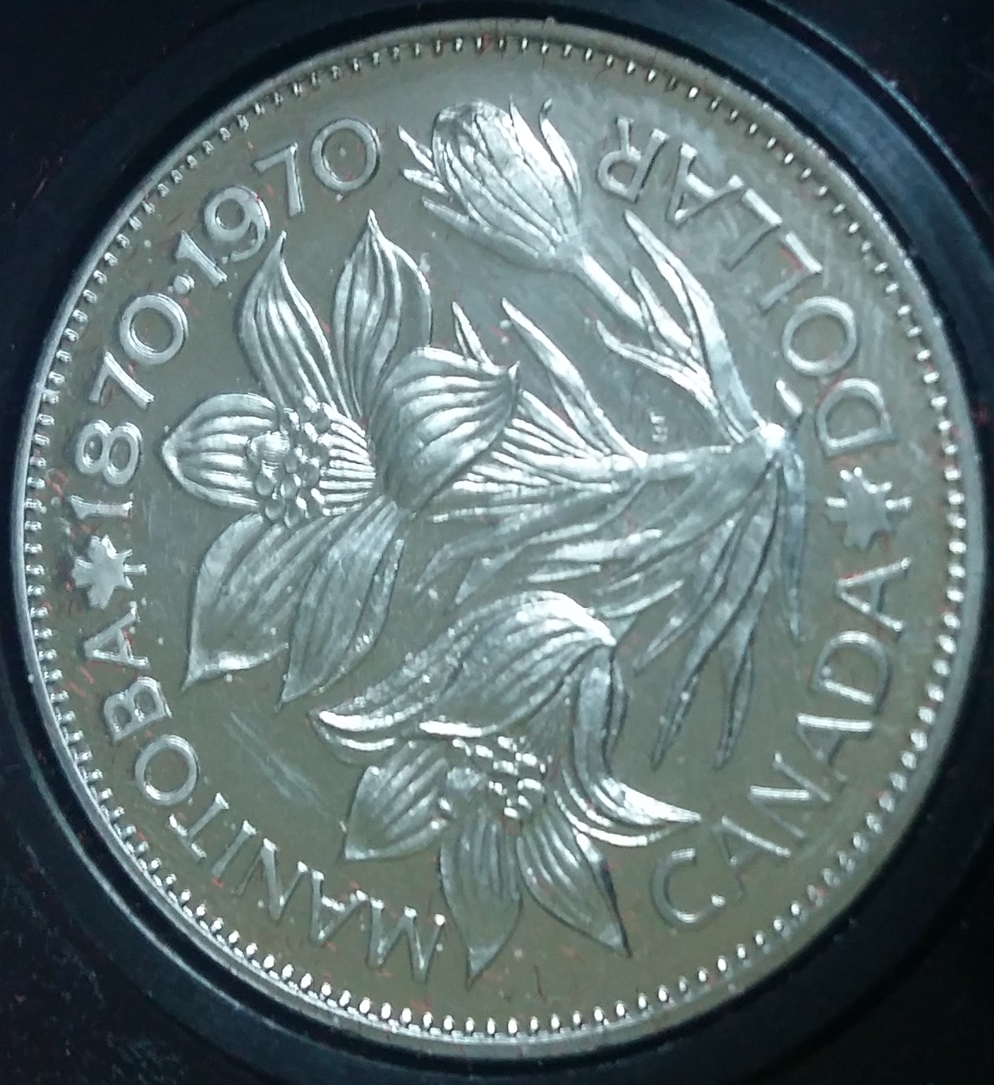Dollar 1970 revers rogné.jpg