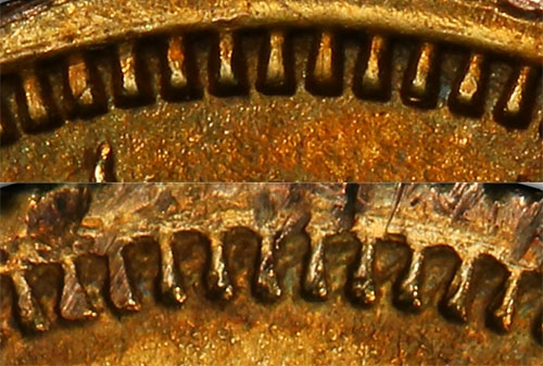 1849 1 dollar - Athanian head