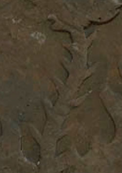 Nova Scotia - Province - 1/2 penny 1843 - 9 thorns