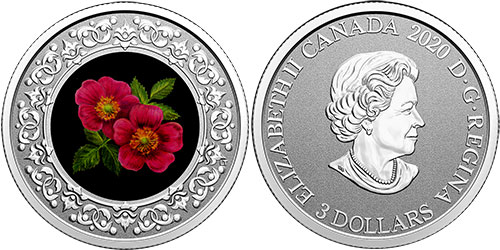 3 dollar 2020 Alberta Canada