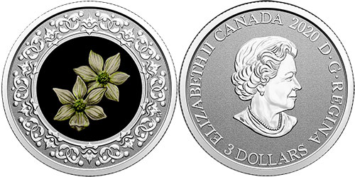 3 dollar 2020 British Columbia Canada