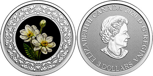 3 dollar 2020 North West Territories Canada