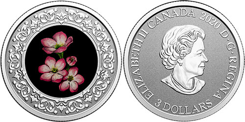 3 dollar 2020 Nova Scotia Canada