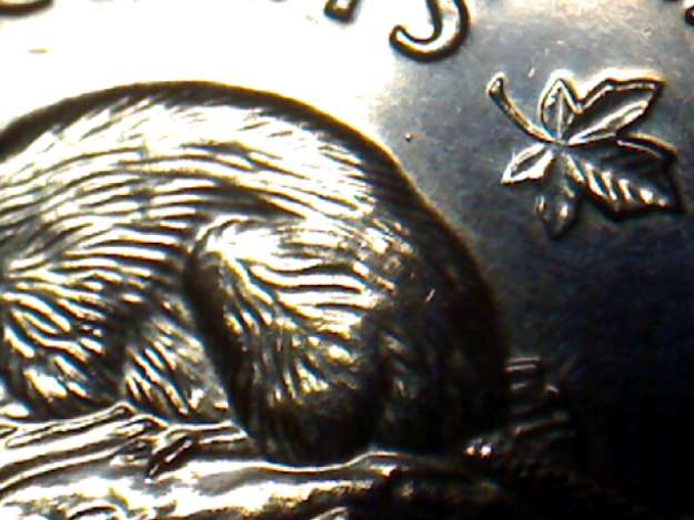 2001-3 P BU PL Canada 5 Cents Beaver Nickel  Stunning Proof-Like Mirror Finish