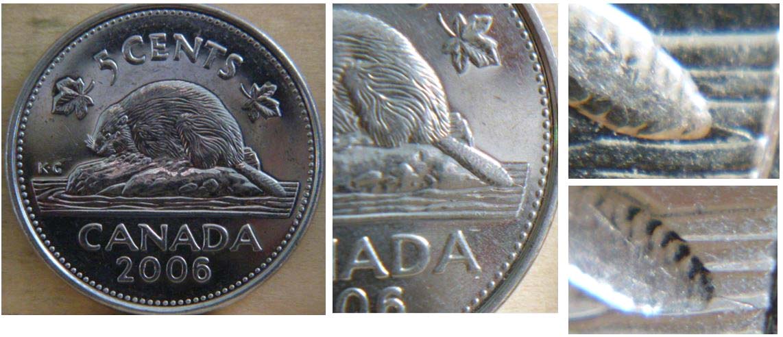 Details about   Canada 2006 P  5 Cent Nickel Coin IDJ303. 